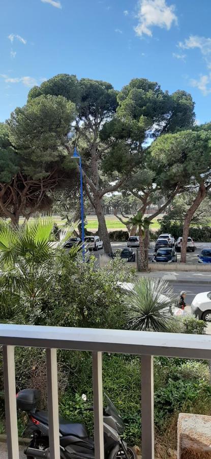 Les Iles D'Or Au Port De Hyeres Grand Studio Climatise Exterior foto